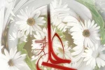 ولادت باسعادت امیرالمومنین حضرت علی (ع) و روز پدر بر مسلمین جهان مبارک باد  2