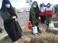 شرکت همکاران در مراسم روز درختکاری و کاشت نهال به نیت شهدای گرانقدر خوی در ارتفاعات امیربیگ